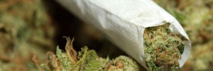 Woman Spends 23 Years in Prison for Marijuana Distribution